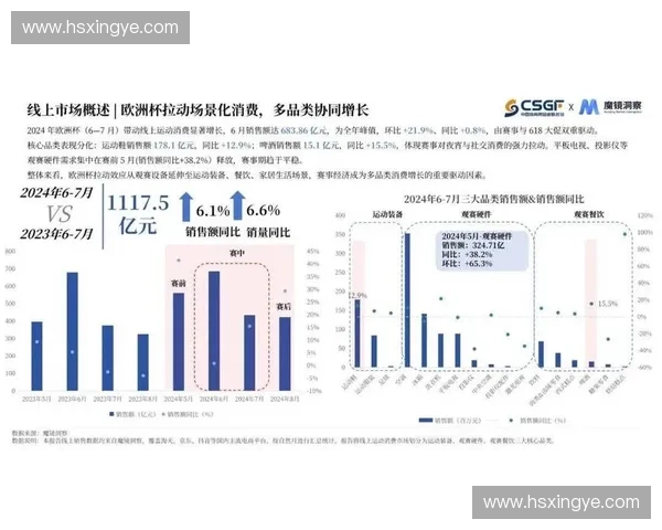 2026年后区域赛事数字票务系统渗透，将成为体育产业存量市场竞争的新支点